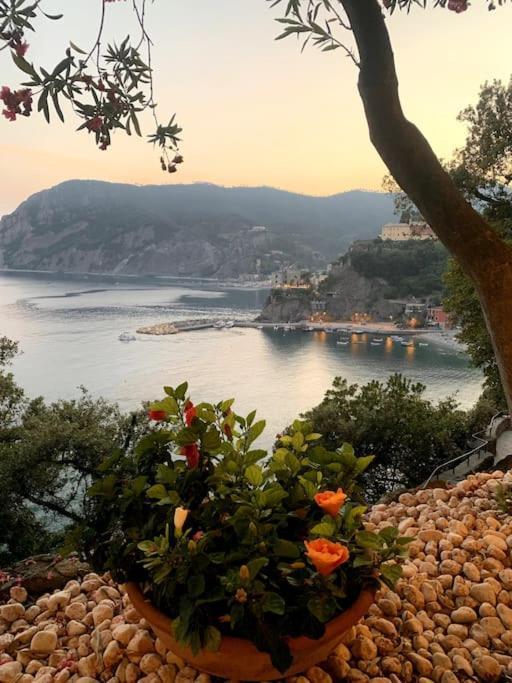 Historic Downtown Home By The Sea With King Bed Monterosso al Mare Buitenkant foto