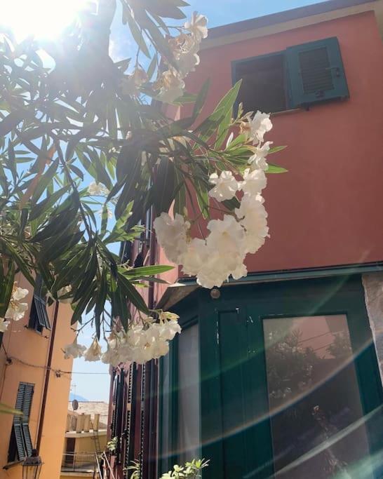 Historic Downtown Home By The Sea With King Bed Monterosso al Mare Buitenkant foto